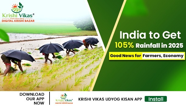 105%Rainfall in 2025