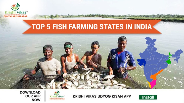 WhatsApp Image 2025-10-28 at 5.42