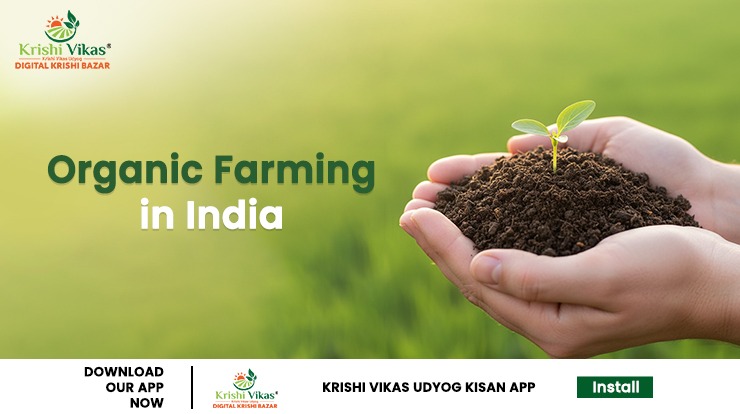 Organic Farming in India