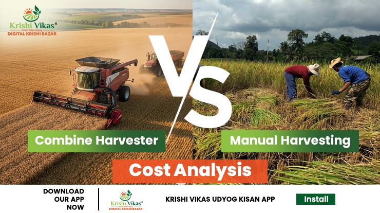 Combine Harvester vs Manual Harvester